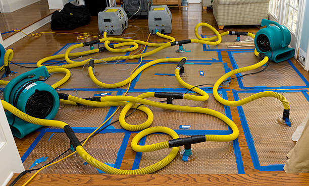 Professional Crawl Space Water Removal technician working in Forest Hill, TX